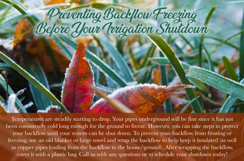 Prevent Backflow Freezing Winter