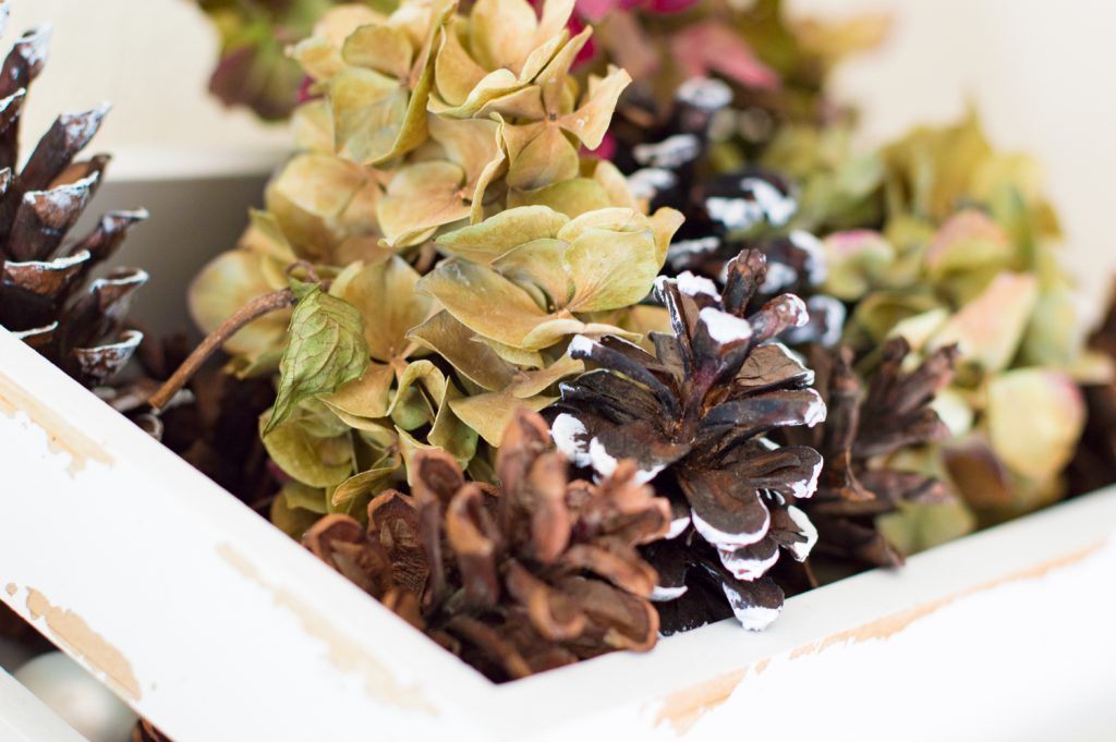 Dried Hydrangeas - Decor for Fall