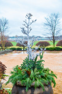 Chrome Painted Bark & Evergreen Cuttings Winter Planter