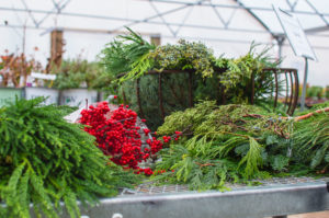 Winterberry Bundle & Mixed Evergreen Cuttings