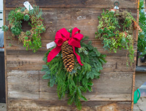 Holiday Live Evergreen Swag with Bow & Pinecone