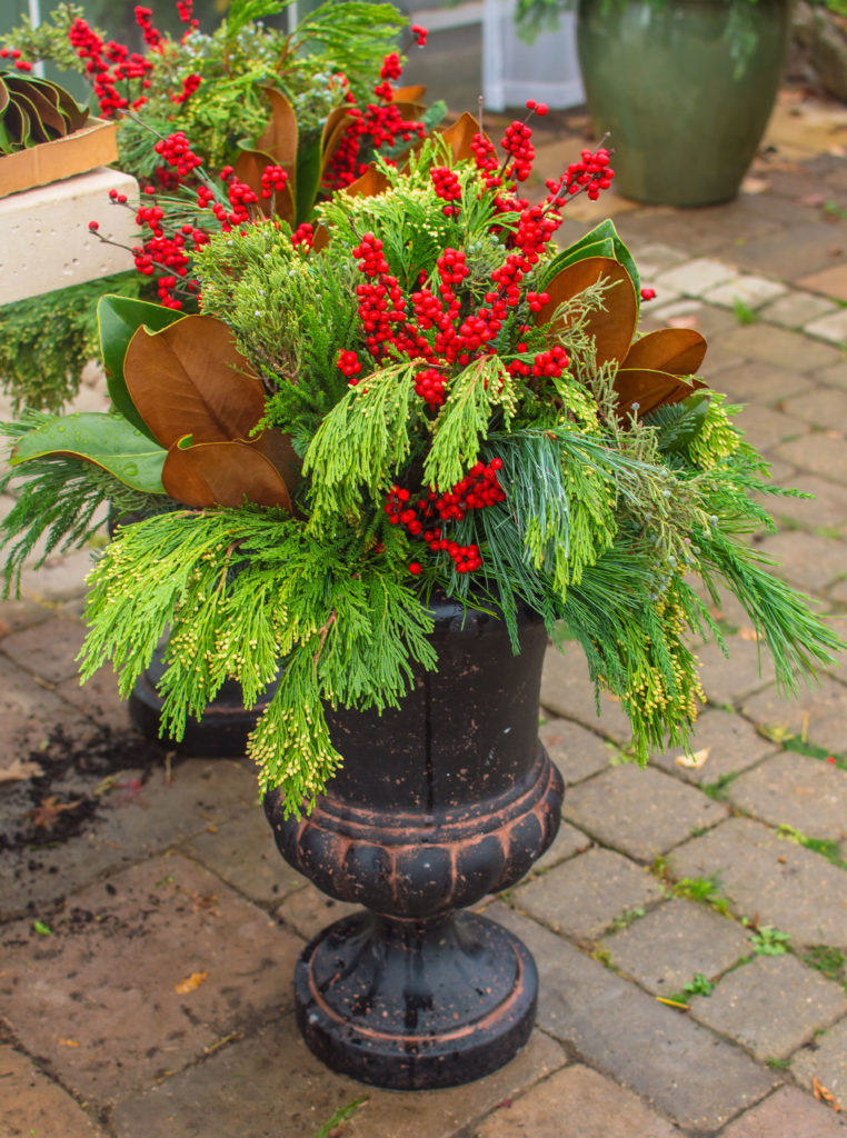 Winter Planter Evergreen Cuttings