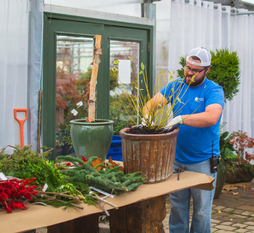 Winter Planter Demonstration with Yellow Twig Dogwood