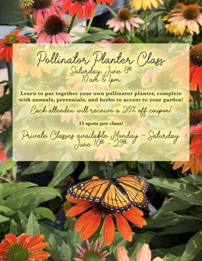Learn how to put together your own pollinator planter for your porch or patio this summer! Private Parties also available + 20% off coupon!