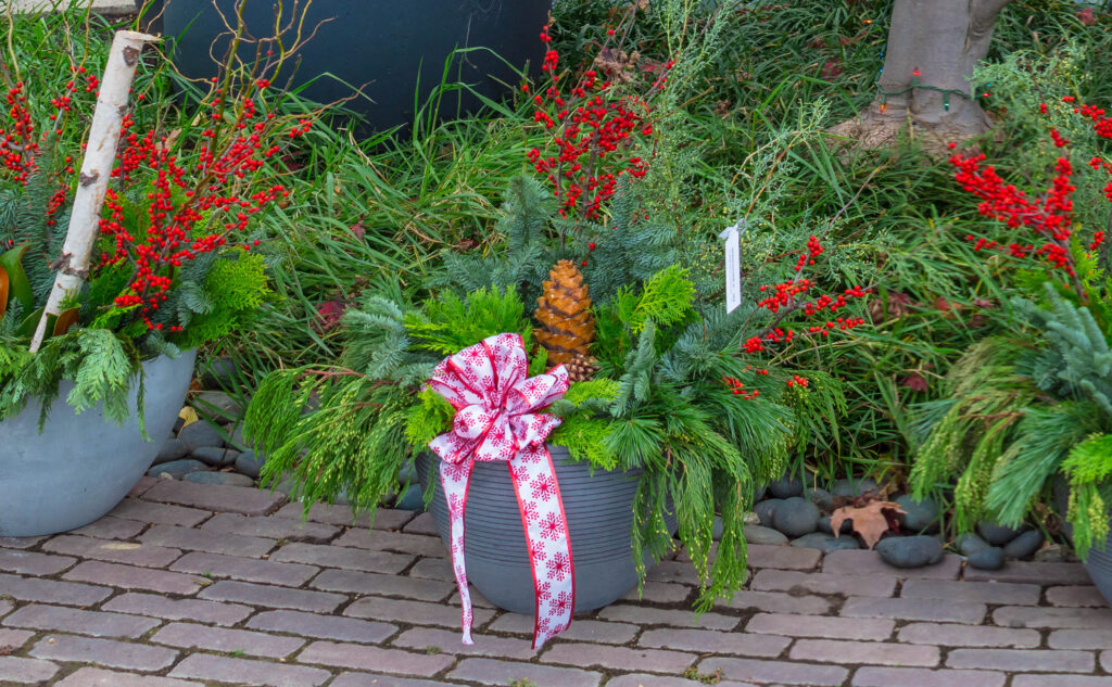 Holiday planter arrangements available in our Garden Center Made with fresh cut evergreens