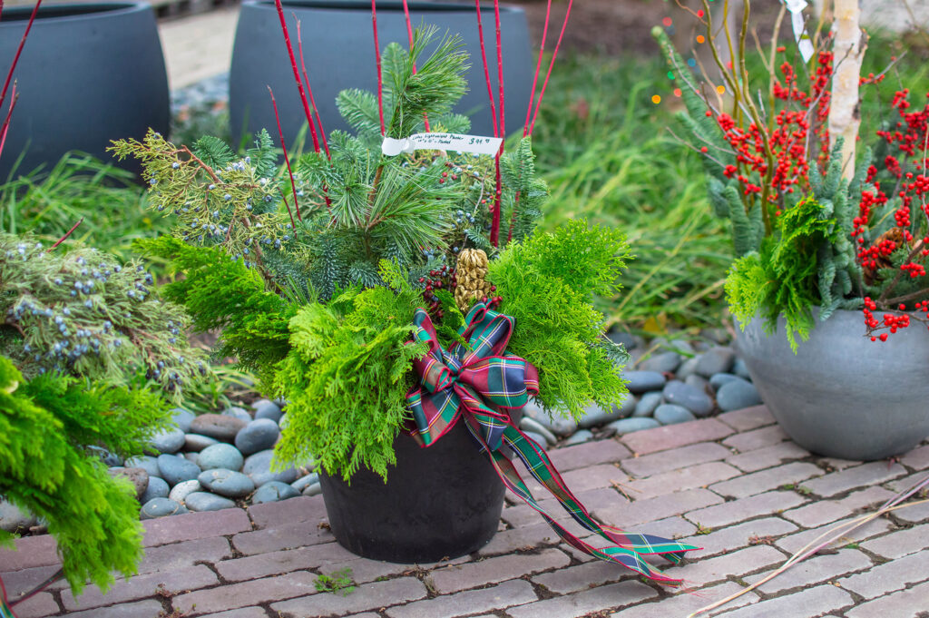 Holiday planter arrangements available in our Garden Center Made with fresh cut evergreens