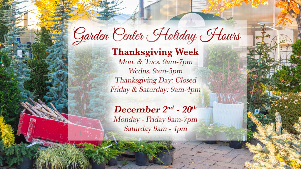 Garden Center Holiday Hours Closed Thanksgiving Day Nov. 29-30 9am-4pm December 2-20 Monday - Friday 9am-7pm, Saturday 9am-4pm